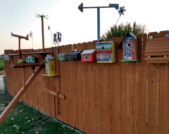 Bird Feeder 8