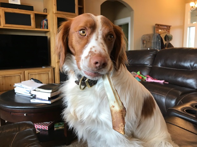 Sage and bone